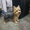 WANLIAN Yorkshire Terrier Dog Statue Simulation Dog Ornaments Realistic Hand Painted Polyresin Figurine for Home and Garden Decor, 8.66"x 3.93" x 7.87"in,Multicolor(Yorkshire Terrier Statue)