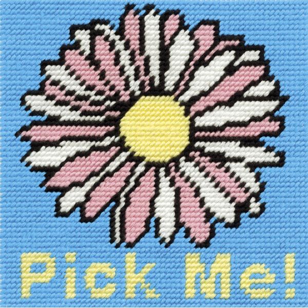 DMC - Tapestry Starter Kit - Pick Me! c049k