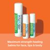 FixMySkin Vanilla Healing Lip Balm