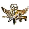Hero's Pride SWAT Operator Insignia, Center Mass Qualification Pin, Clutch Back, 1-1/2 x 1", Polished Gold, Master Rank