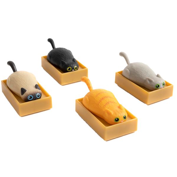 Racing Cats in Boxes - Set of 4