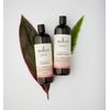 Sukin Volumising Shampoo, Fine and Limp Hair, 16.9 Fl Oz