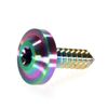 64 Titanium M5 16mm Torx Flanged Rainbow Tapping Screws