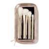 Tarte Gold Dusters 5 Piece Brush Set & Travel Case