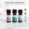 Everyday Essential Oils Kit