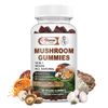 3xMushroom Extract Complex Gummies Lions Mane Chaga Reishi Focus Memory Immunity