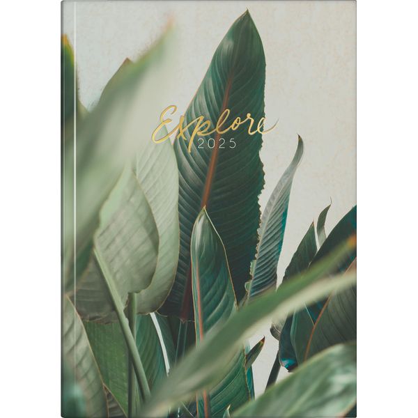 rido/idé Young Line 2025 "Explore" Book Calendar A5 Paper
