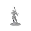 WizKids WZK72614 Accessories