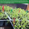Elixir Gardens ® 5" White Stick in Plastic Plant Labels - 300