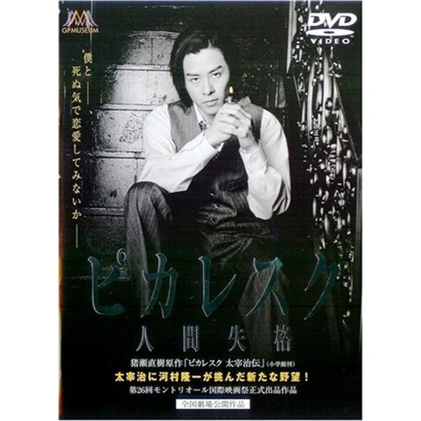 ピカレスク [DVD]