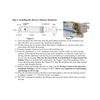 100 GPD RO Membrane Water Filter Reverse Osmosis Membrane Element 11.75" x 1.75"