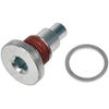 Timing Chain Guide Bolt