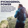 KAL 50 Mg Pycnogenol Tablets, 60 Count