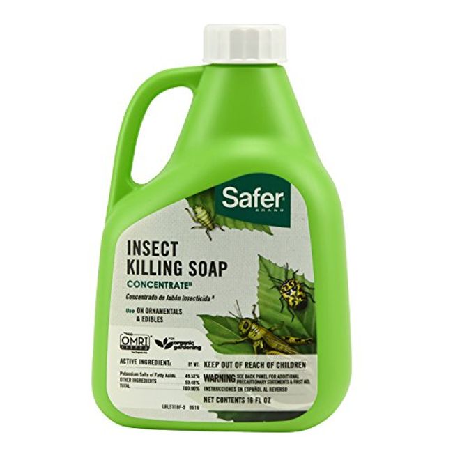  Safer Brand 05140 Pantry Moth Pest Trap and Killer