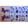 Color Gel  Nail Polish Strips .  Pretty Wings. Read Description Below