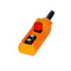 Ocean Controls 2 Button Pendant Marked UP-Down with Emergency Stop