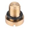 e46 bleed screw + Coolant Expansion Tank Bleeder Screw Drain Screw Radiator Expansion Tank and Rubber O-ring Solid Billet Brass for E30 E36 E31 E34 E46 E39 E38