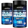 Stem Cell Plant Based Age Defying Support Supplement 360 Capsule Cellular Health