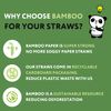 The Cheeky Panda Bamboo Paper Straws | 100 Multicoloured Drinking Straws