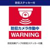 ELPA Dummy Camera Dome DC-002 Black
