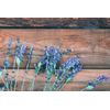 Chandini Natural Misting Spray - Relaxing Aromatherapy for a Tranquil Home