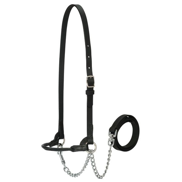 Weaver Leather Livestock Dairy Halter, Medium, Black