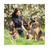 FunniPets Dog Training Collar, 2600ft Range Dog Shock Collar with Remote Wate...