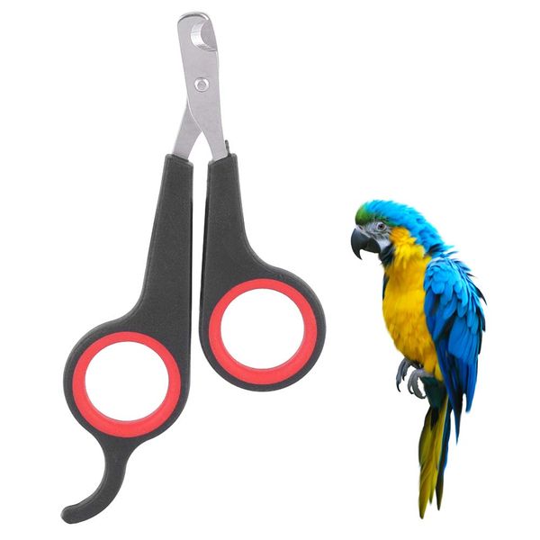 Papagei Nagelknipser, Cat Nail Clippers Pet Profi Krallenschere Haustier Kleintiere Klauenschneider Katzennagelknipser Katzennagelschneider Meerschweinchen Vögel Welpen Kätzchen Rennmäuse Kaninchen