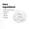 Revision Skincare Gentle Foaming Cleanser 5 fl oz