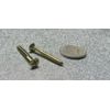 Brass #6  Phillips Flat Head Wood Screw x 1.25" Length, 100 Pcs
