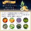 Aroma Diffuser for Sleeping Magic (Greige, Body Set)