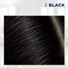 Clairol Permanent Root Touch-Up, 003 Black [pack of 2] ,1 ea
