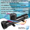 4CH4002R Pool Ionizer/Swimming Pool Cleaner Replacement Chamber System