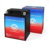 Yard Man Yard Bug  Lawn Mower and Tractor Replacement Battery