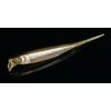 JACKALL Drift Fly Elastomer, 3 Inches, Silver Powder Ayu