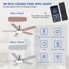 52" RGB Ceiling Fan with Light and Remote/App - Flush Mount Ceiling Fan Light wi