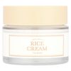 Rice Cream, 1.76 oz (50 g)