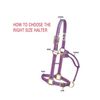 Weaver Leather Original Non Adjustable Halter (Blue, Avarage Horse/Yearling Draft)
