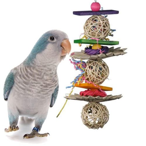 Super Bird Creations SB518 12 by 5-Inch Crunch and Munch Bird Toy - Ideal for Parrots - Medium