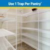 Pic-Corp Raid Pantry Moth Trap, 2 pk (PMOTHRAID)