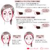 Chifure Shading Powder 2 Grayish Brown