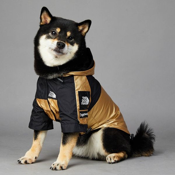 Golden Dog Raincoat - Stylish And Waterproof Pet Jacket - Gold / M