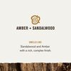 Every Man Jack Men’s Amber + Sandalwood Deodorant - Stay Fresh Safely with Aluminum Free Men’s Deodorant - Odor Crushing, Long Lasting, Plant-Based, and No Harsh Chemicals - 3 oz. 2 Sticks