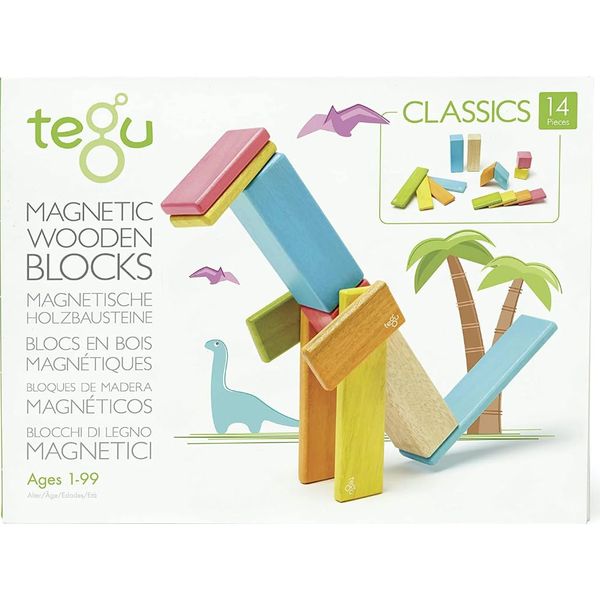 Tegu 14 Piece Magnetic Wooden Block Set in Tints