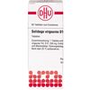 DHU Solidago virgaurea D12 Tabletten, 80 St. Tabletten