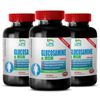 MSM 500 - Glucosamine Chondroitin MSM 3230mg - Join Support Formula 3B