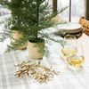 Gold Leaf Tabletop Botanical Object Holiday Wedding Decor Threshold Studio McGee
