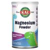 Dinosaurs, Magnesium Powder , 4 oz (112.5 g)