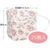 Skater Non-Woven Mask for Kids 25 Pieces 3 Layers Boxed My Melody Sanrio MSKP25-A