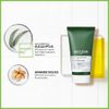 Decleor Cica-Botanic Eucalyptus Mask 50ml